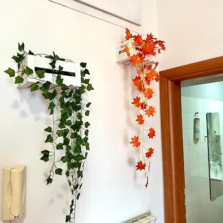 Apartment Giubileo 2025-bomboniera House